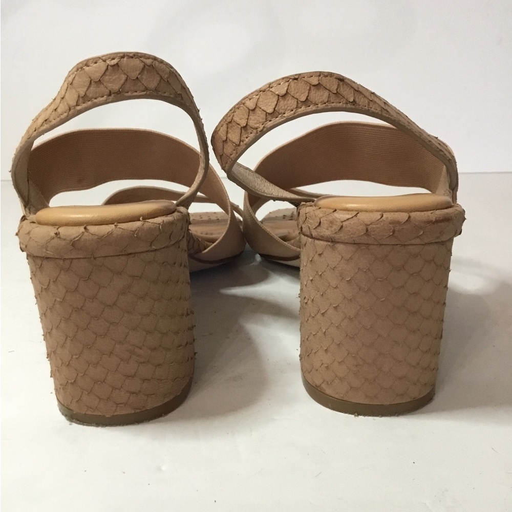 Corso Como Women’s Hally2 Heeled Sandal in Latte Snake Size 8 - Picture 3 of 7